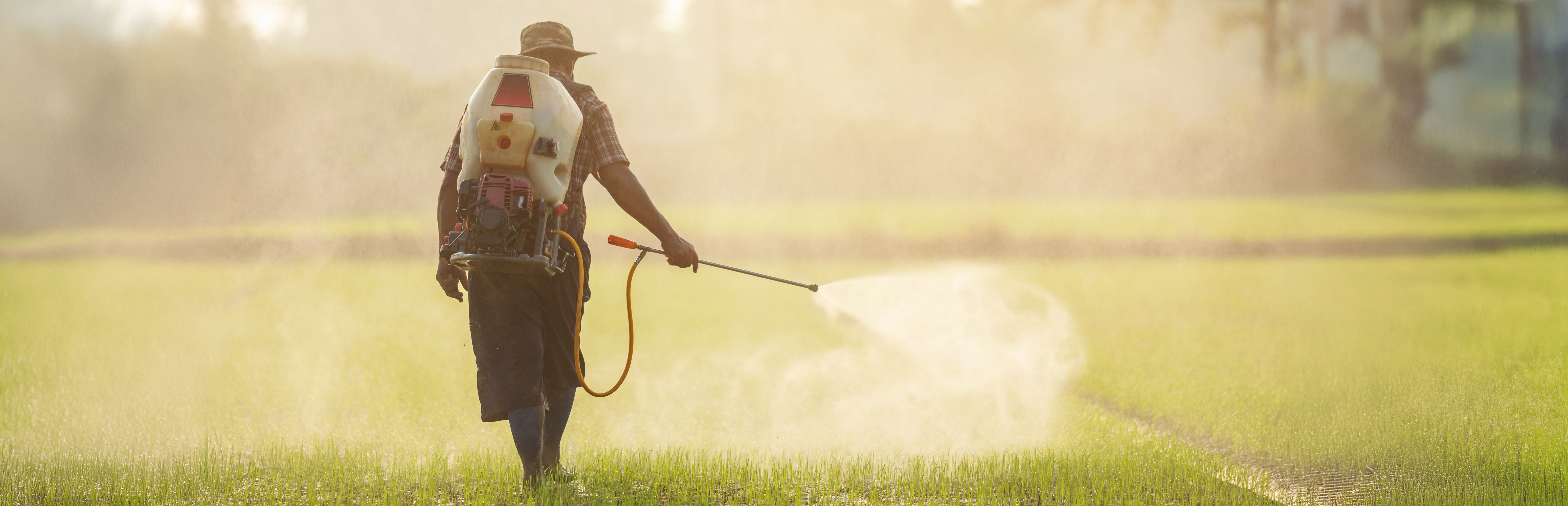 pesticides-banner-3 Man spraying pesticides ontop of crops on a field